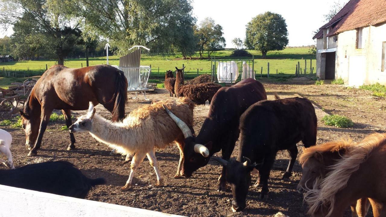 La Ferme Aux Kangourous Donzy Eksteriør bilde
