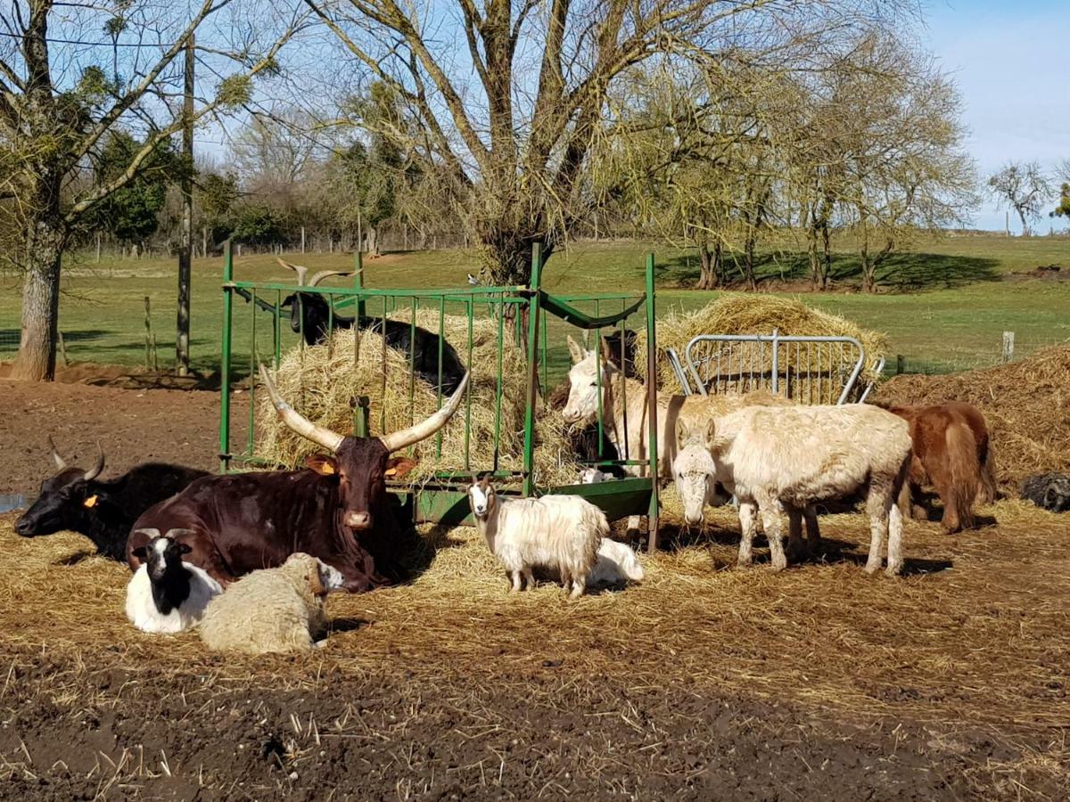 La Ferme Aux Kangourous Donzy Eksteriør bilde