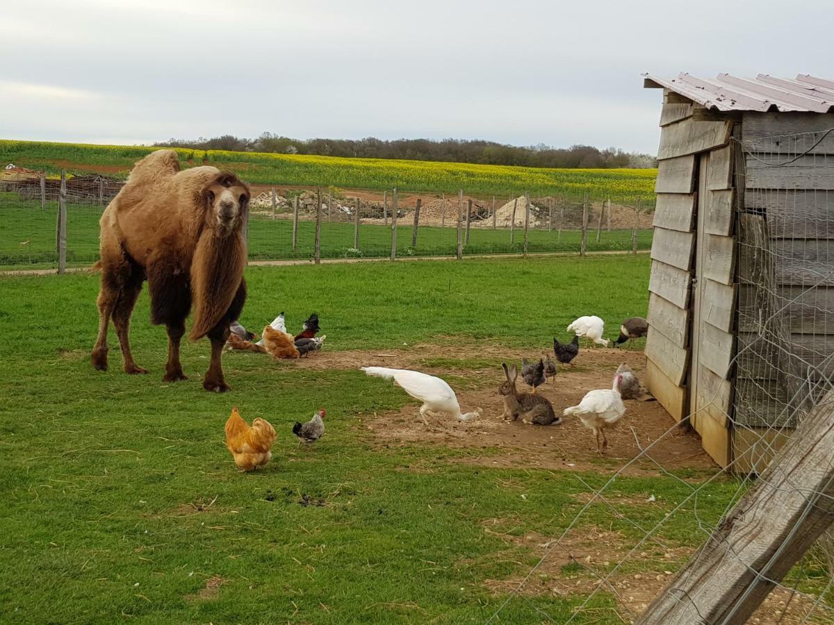 La Ferme Aux Kangourous Donzy Eksteriør bilde
